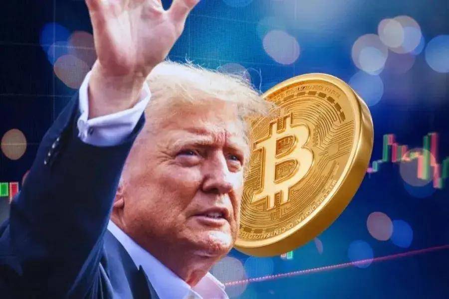 林超：Trump币，山寨之王，下一个百倍币？