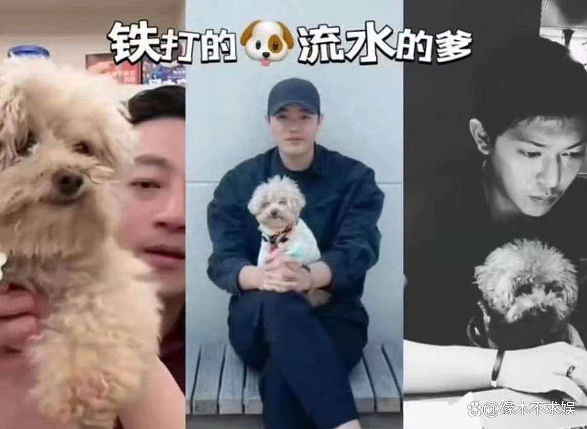 马筱梅为爱犬办葬礼遭网暴，评论区沦陷，和大S离世时画风太像！