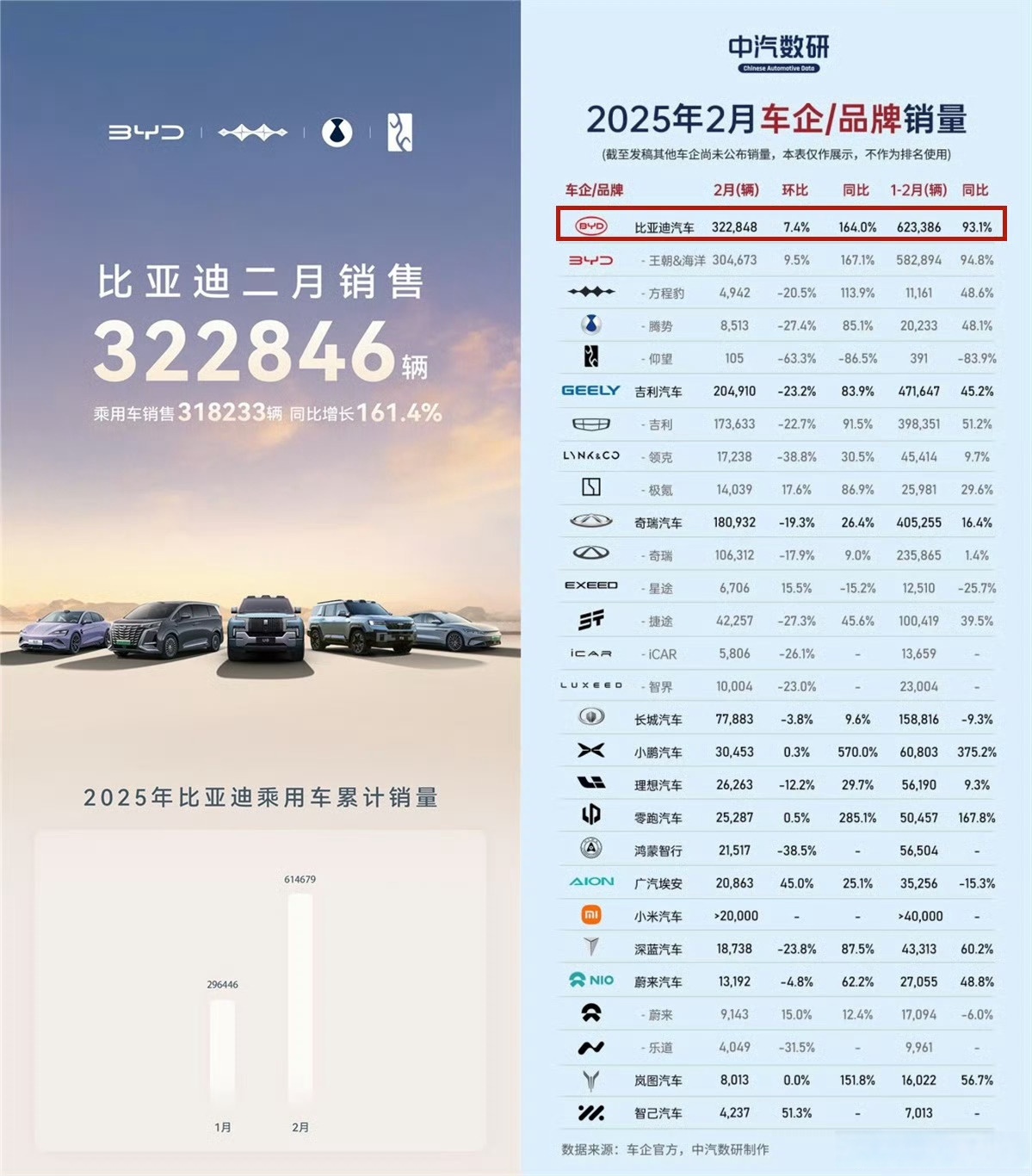 比亚迪股票(云南旅游股票股吧)