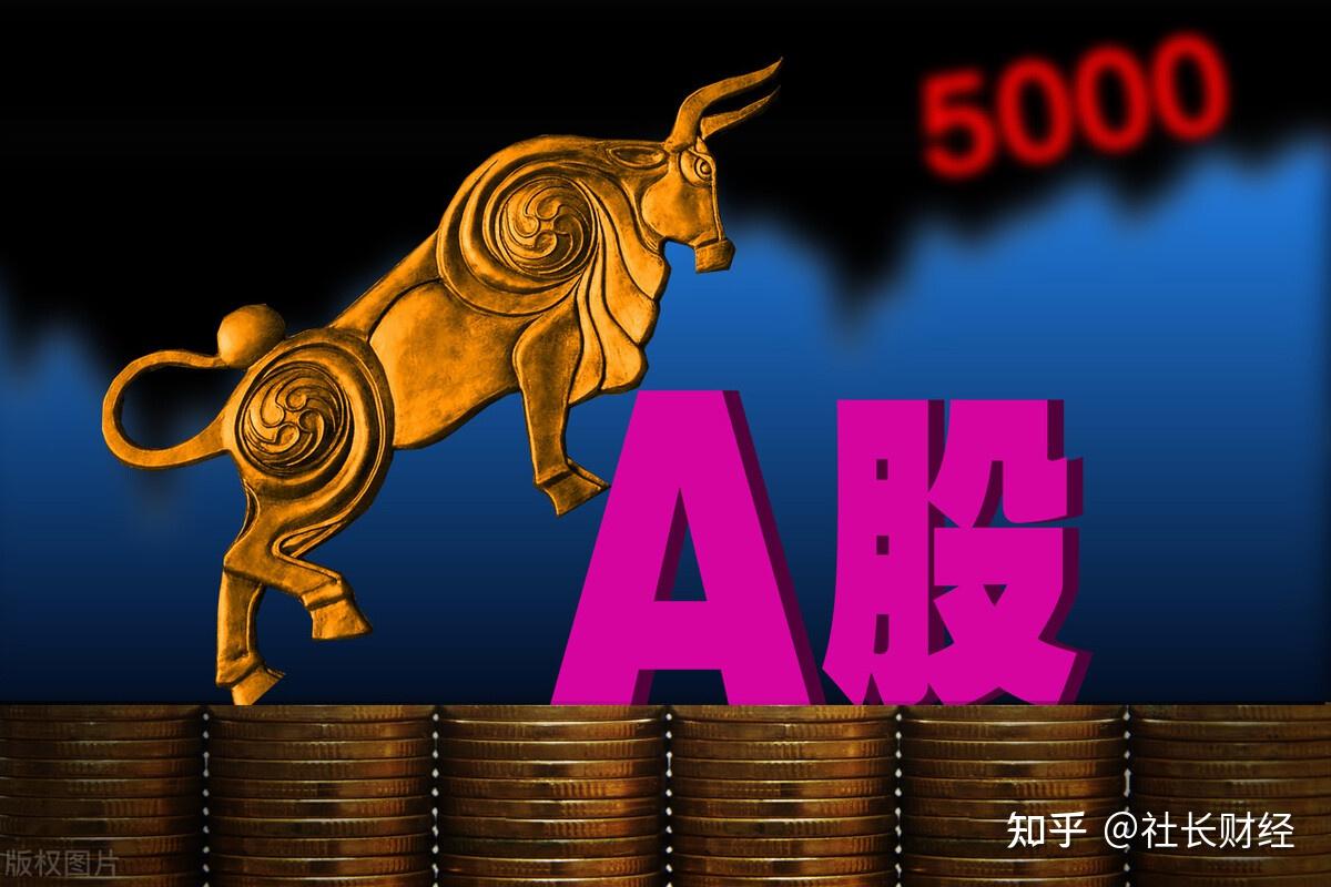 股票投资(股票投资要义)
